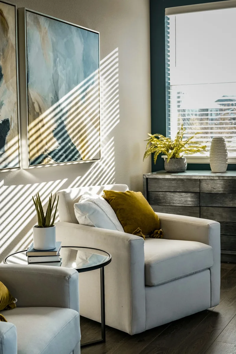 Sunlit living room with a white sofa and green plants